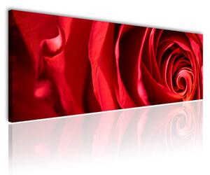 120x50cm - Vörös rózsa festmény vászonkép