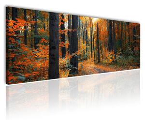 120x50cm - Őszi erdőn átszűrődő fények vászonkép