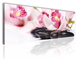 120x50cm - Rózsaszín orchideák vászonkép