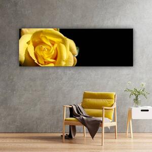 120x50cm - Sárga rózsa vászonkép