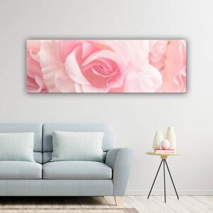120x50cm - Rózsa szín vászonkép