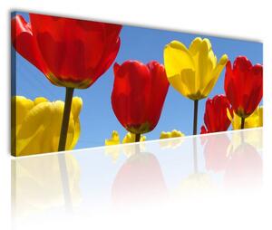 120x50cm - Piros és sárga tulipánok vászonkép