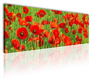 120x50cm - Vörös és zöld pipacs mező vászonkép
