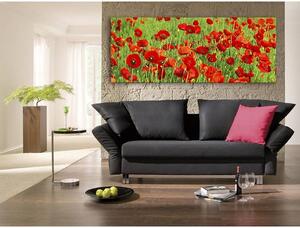 120x50cm - Vörös és zöld pipacs mező vászonkép