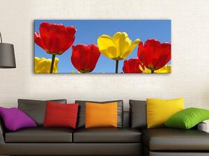 120x50cm - Piros és sárga tulipánok vászonkép