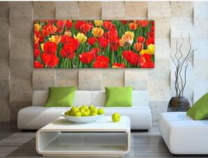 120x50cm - Gyönyörű tulipánok vászonkép