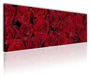 120x50cm - Vörös rózsák vászonkép