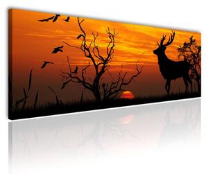120x50cm - Szarvas a naplementében vászonkép