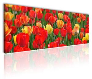 120x50cm - Gyönyörű tulipánok vászonkép