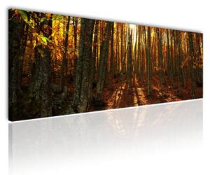 120x50cm - Napnyugta az őszi erdőben vászonkép