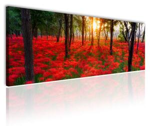 120x50cm - Erdei virágok vászonkép