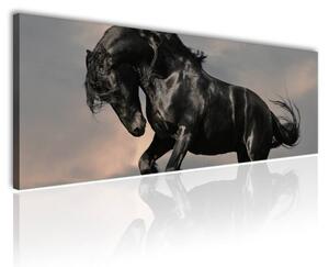 120x50cm - Fekete ló vászonkép