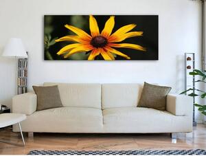 120x50cm - Sárga virág vászonkép
