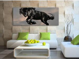 120x50cm - Fekete ló vászonkép