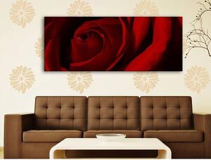 120x50cm - Közeli vörös rózsa vászonkép