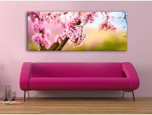 120x50cm - Rózsaszín virágzás vászonkép