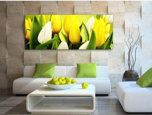 120x50cm - Játékos színes tulipánok vászonkép