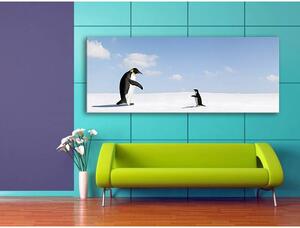 120x50cm - Pingvinek vászonkép