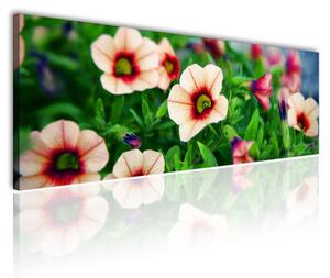 120x50cm - Virág szépség vászonkép