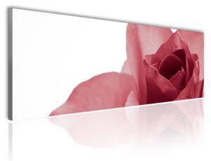 120x50cm - Piros rózsa vászonkép