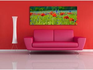 120x50cm - Kék és piros virágok vászonkép