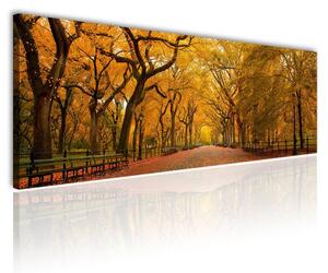 120x50cm - Őszi fák takarásában vászonkép