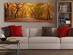 120x50cm - Őszi fák takarásában vászonkép