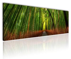 120x50cm - Mesés bambusz erdő vászonkép