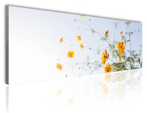 120x50cm - Sárga virágok - vászonkép