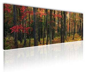 120x50cm - Őszi fák vászonkép