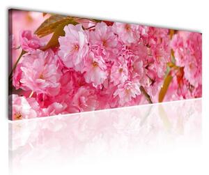 120x50cm - Rózsaszín virágok vászonkép