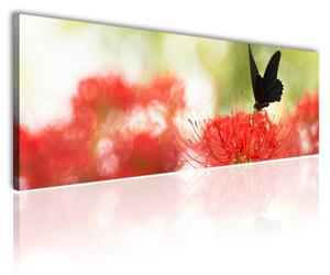 120x50cm - Fekete pillangó piros virág vászonkép