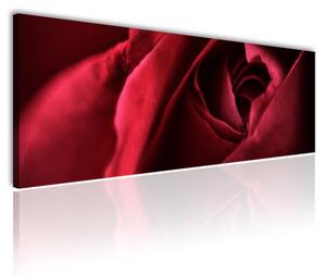 120x50cm - Misztikus Vörös Rózsa vászonkép