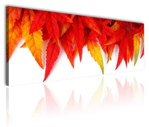 120x50cm - Őszi levelek vászonkép