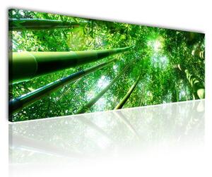 120x50cm - Bambusz erdő vászonkép