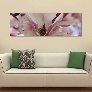 120x50cm - Magnolia vászonkép