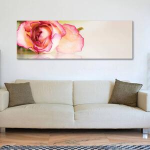 120x50cm - Rózsa szírmok vászonkép