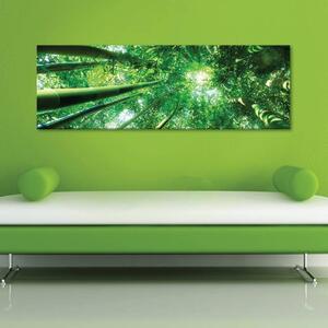 120x50cm - Bambusz erdő vászonkép