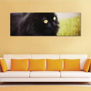 120x50cm - A fekete macska vászonkép