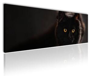 120x50cm - Fekete macska vászonkép