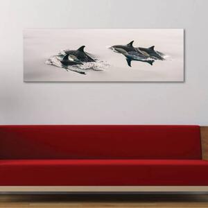 120x50cm - Boldog delfinek vászonkép