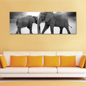 120x50cm - Elefántok együtt vászonkép