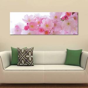 120x50cm - Rózsaszin virágzás vászonkép