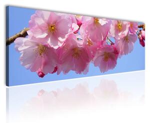 120x50cm - Rózsaszín virágzások vászonkép