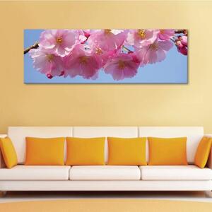 120x50cm - Rózsaszín virágzások vászonkép