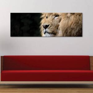 120x50cm - Az oroszlán tekintete vászonkép
