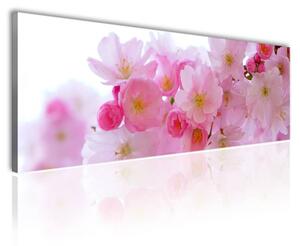 120x50cm - Rózsaszin virágzás vászonkép