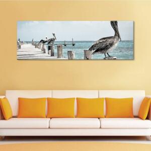 120x50cm - Vadászó pelikánok vászonkép