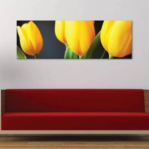120x50cm - Sárga tulipánok vászonkép