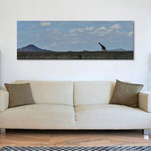 120x50cm - Magányos zsiráf vászonkép